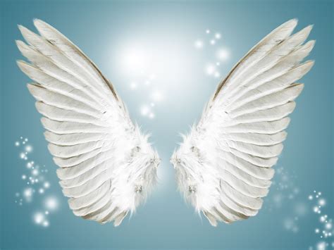 photos of angel wings|free images of angel wings.